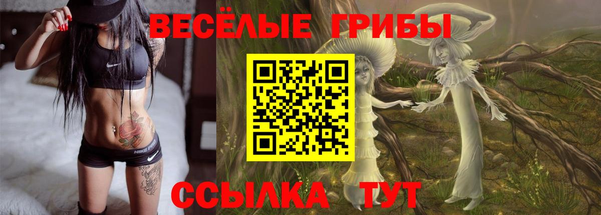 Псилоцибиновые грибы мицелий  Галлюциногенные грибы Psilocybe  Биробиджан  Вход с VPN 